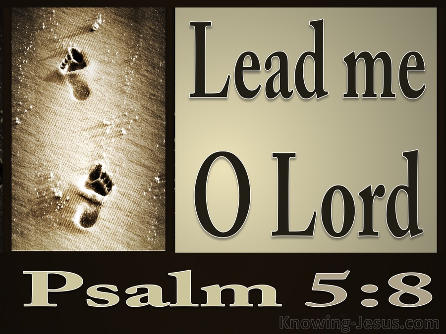 Psalm 5:8 Lead Me O Lord (brown)
